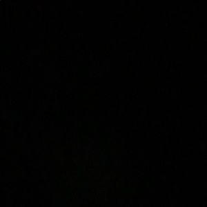 Meet your Posher, Parker